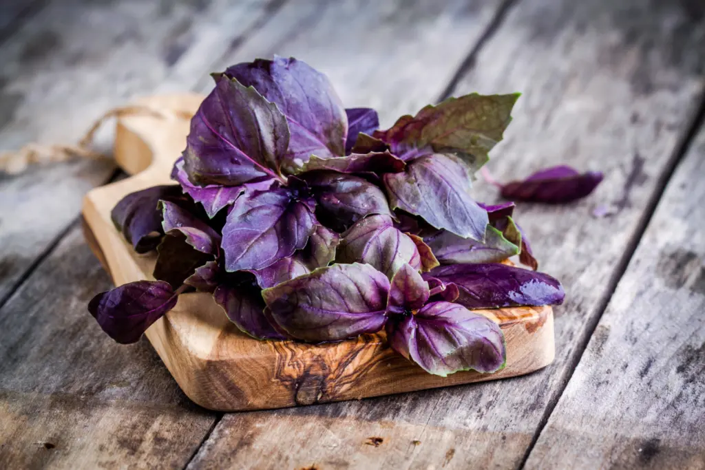 Purple basil leaves on a chopping board